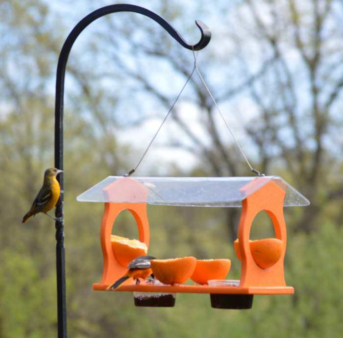 Recycled Plastic Oriole Diner Feeder